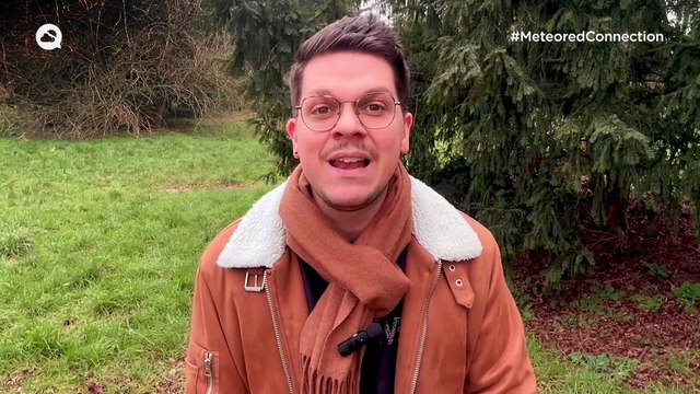 Près de 80 départements sont désormais en alerte aux pollens en France ! Quelles sont les plantes et arbres concernés ?