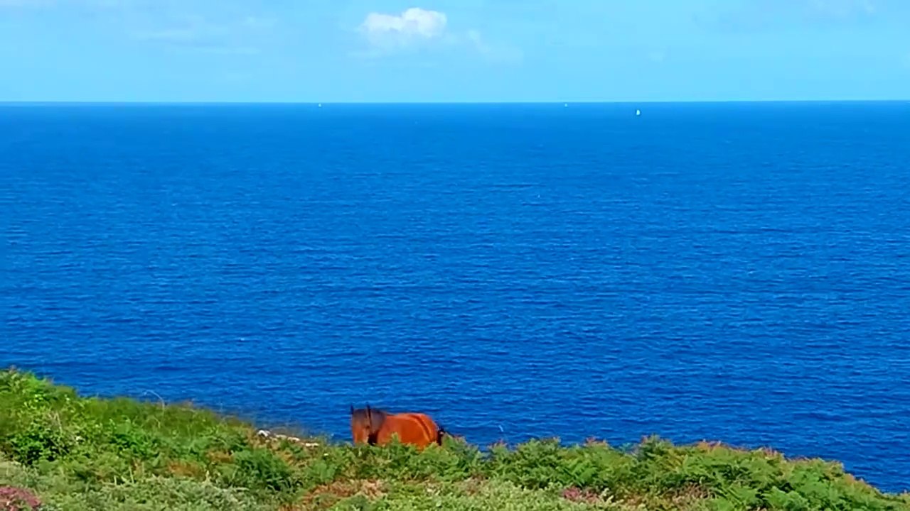 🇲🇫 Fenêtre sur l'océan. Foutu touriste N°5                Complètement à l'ouest part 3_4