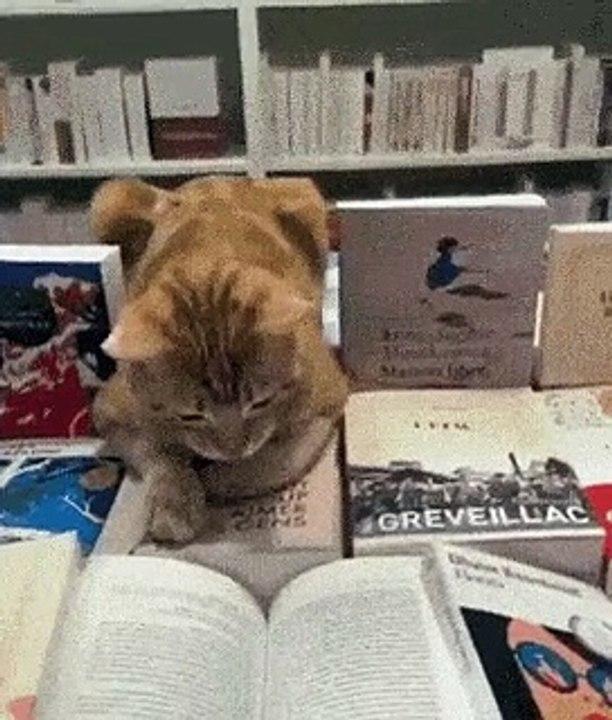 Lecture intéressante