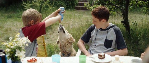 Mit der Faust in die Welt schlagen - Trailer