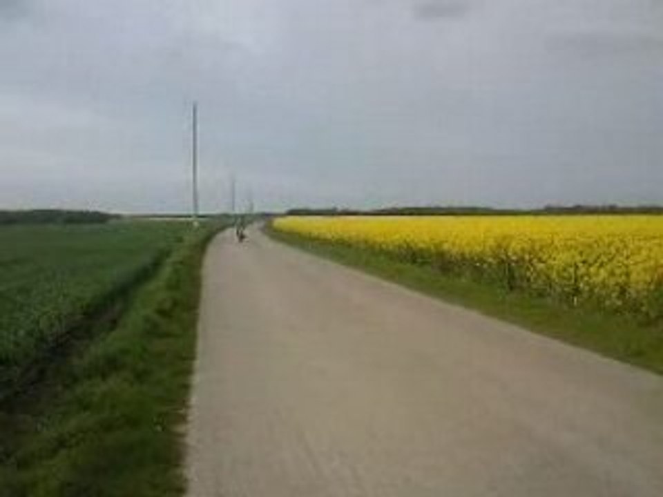 DT Q du 27 , top rose prepa 28 oko,scr racing line