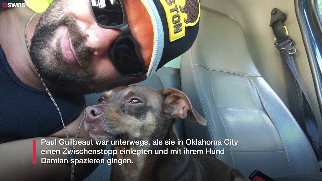 Mann wiedervereint mit hund, den er vor acht jahren bei einem umzug quer durchs land verloren hatte