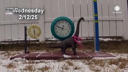 Snowy week captured in time-lapse video in Ohio