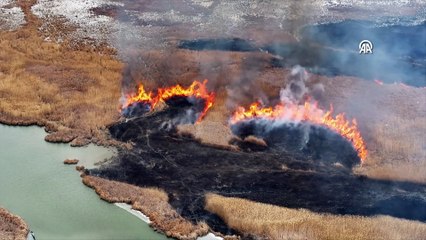 Van'da kuş cenneti Dilkaya Sazlığı'nda yangın çıktı