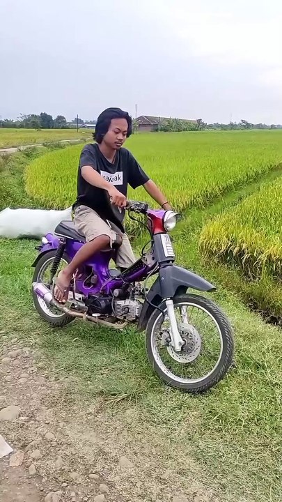 Entertainment video