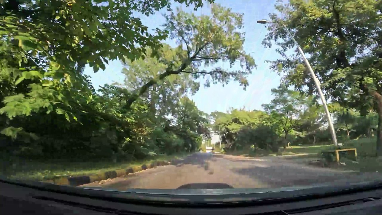 Drive way back