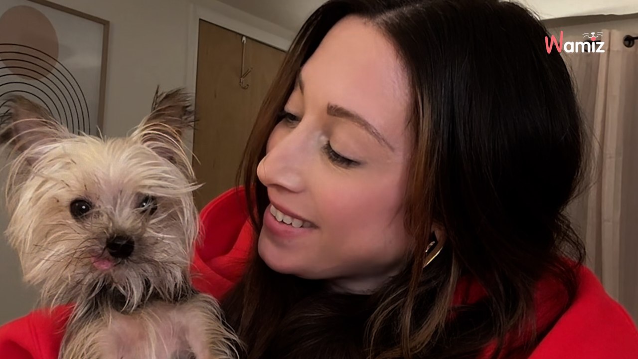 Avant d'abandonner son chien à contre-cœur, il pose une question déchirante aux sauveteurs (vidéo)
