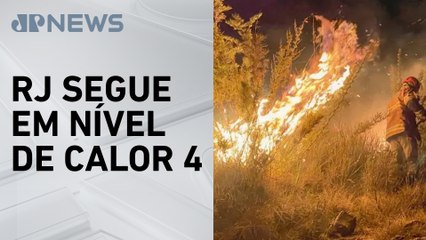Rio de Janeiro registra crescimento de 370% em incêndios florestais