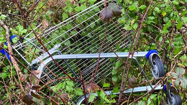 Abandoned supermarket trolleys in Pembroke Dock