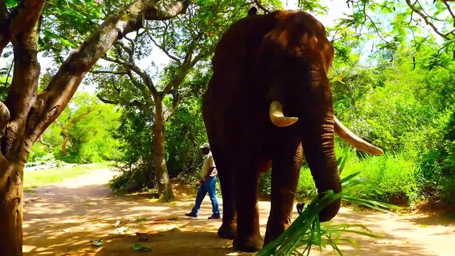 Eventi sportivi, dall'Nba al tennis: un nuovo motore per i viaggi