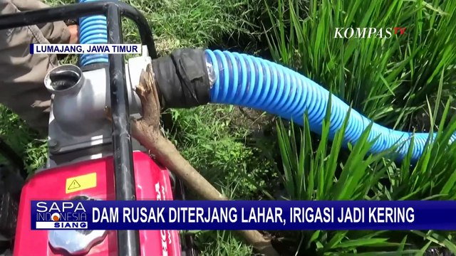 Dam Sepanjang 100 Meter Jebol Diterjang Lahar Gunung Semeru, Irigasi Jadi Kering