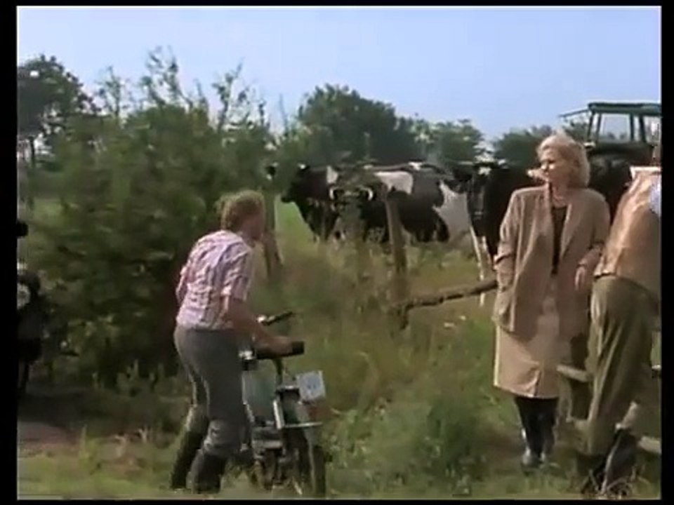 Das Erbe der Guldenburgs E24 - Die große Enttäuschung