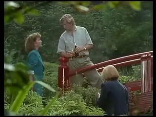 Das Erbe der Guldenburgs E25 - Die schöne Illusion