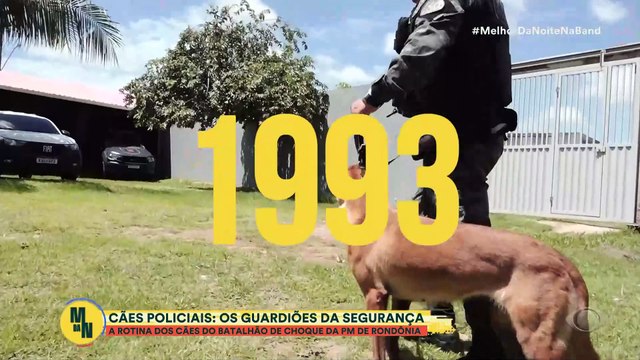Cães policiais: Os guardiões da segurança em Rondônia | Melhor da Noite
