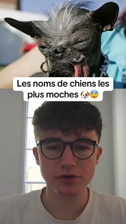 Le top 1 💀