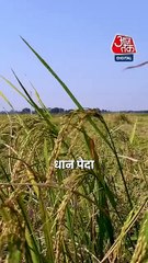 CM Mohan Yadav ने किसानों को दिया तोहफा