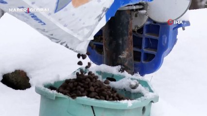 Çorum Belediyesi'nden doğadaki canlılara şefkat eli