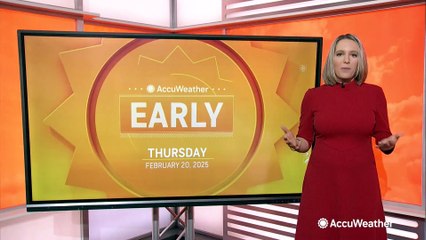 Celebrating National Love Your Pet Day