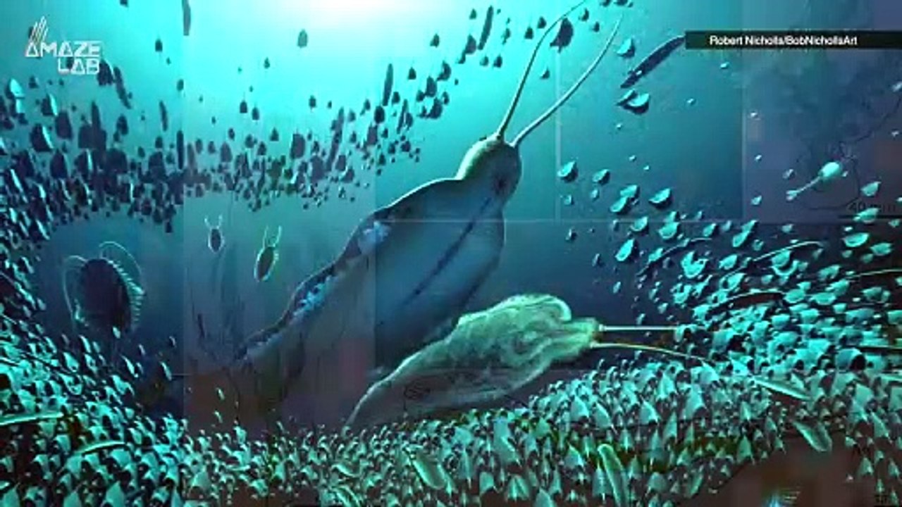 This Giant Worm Actually Ruled The Deep Oceans Before Sharks - video ...