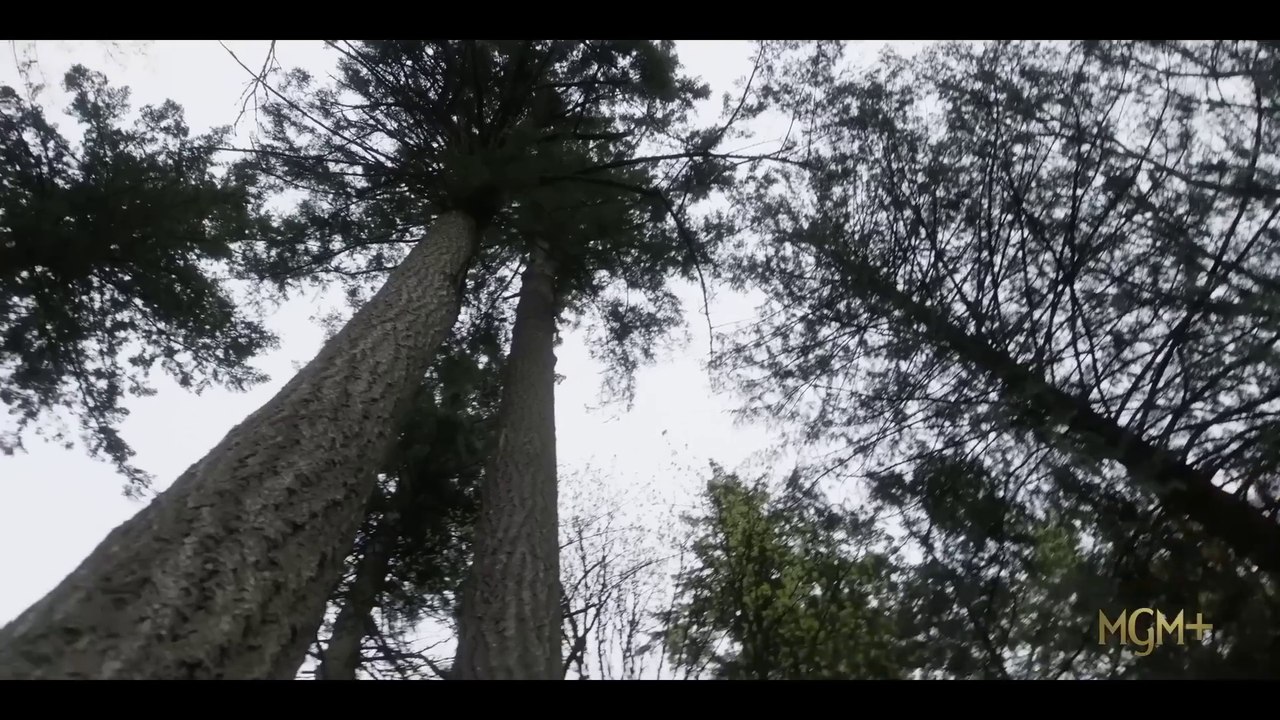 La tierra permanece VO