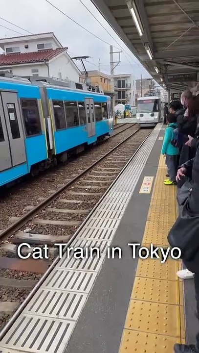 Cat Train in Tokyo _shorts(720P_60FPS)