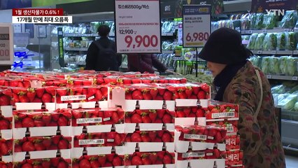 '금딸기'에 생산자물가 '껑충'...17개월 만에 최대 오름폭 / YTN