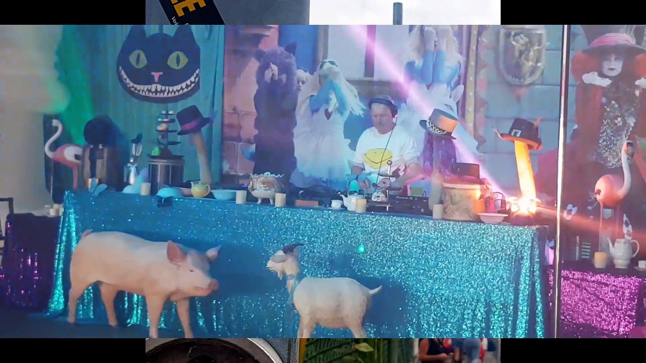 2024 ValtiFest Amsterdam