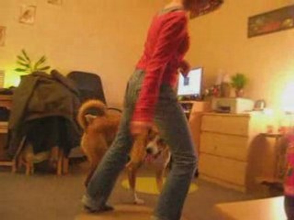 Danse Vanook