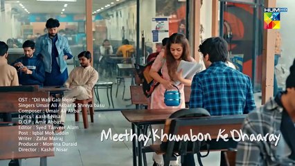 Dil Wali Gali Mein 2025 - HUM TV {1}