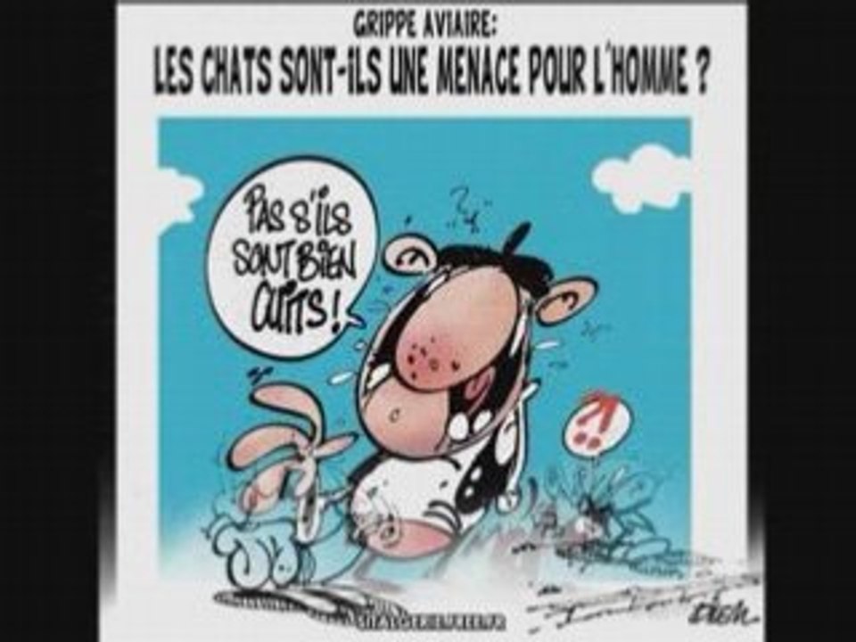 Dilem2