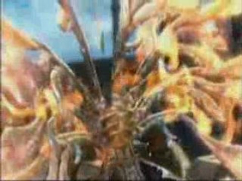 FF12-Given Up