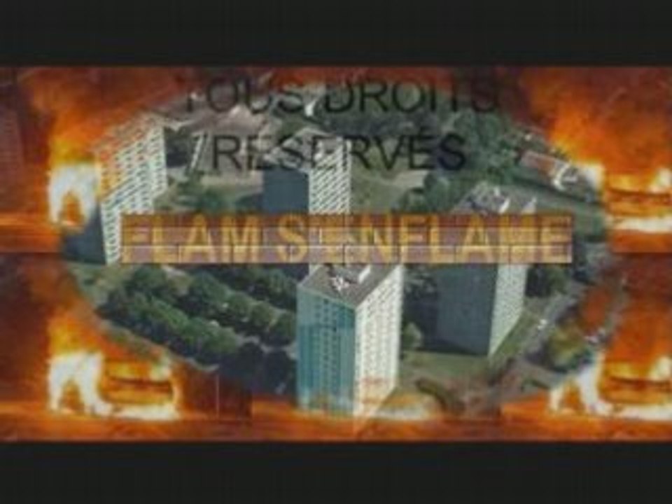 FLAM INSPECTION REMiiX