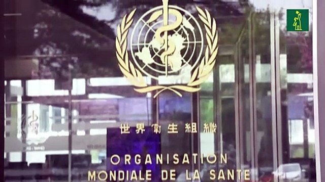 La OMS advierte de la escasez de antídotos en medio del flagelo de las mordeduras de serpiente