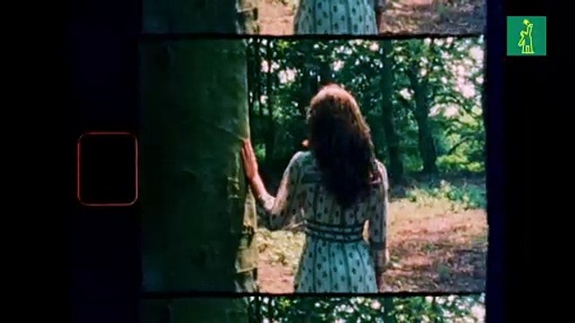 La princesa Catalina anuncia que completó su tratamiento de quimioterapia