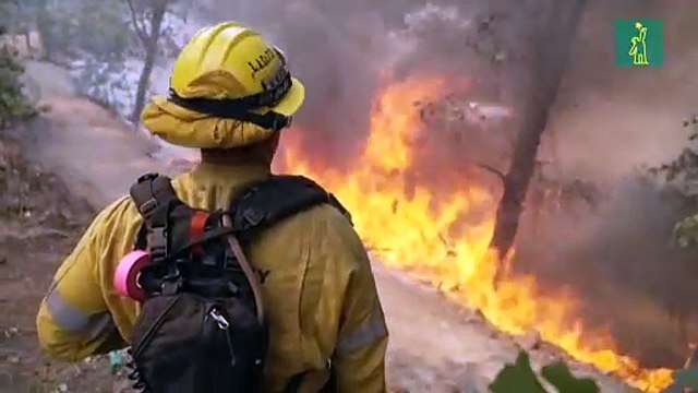 Incendios forestales arrasan con viviendas alrededor de Los Ángeles