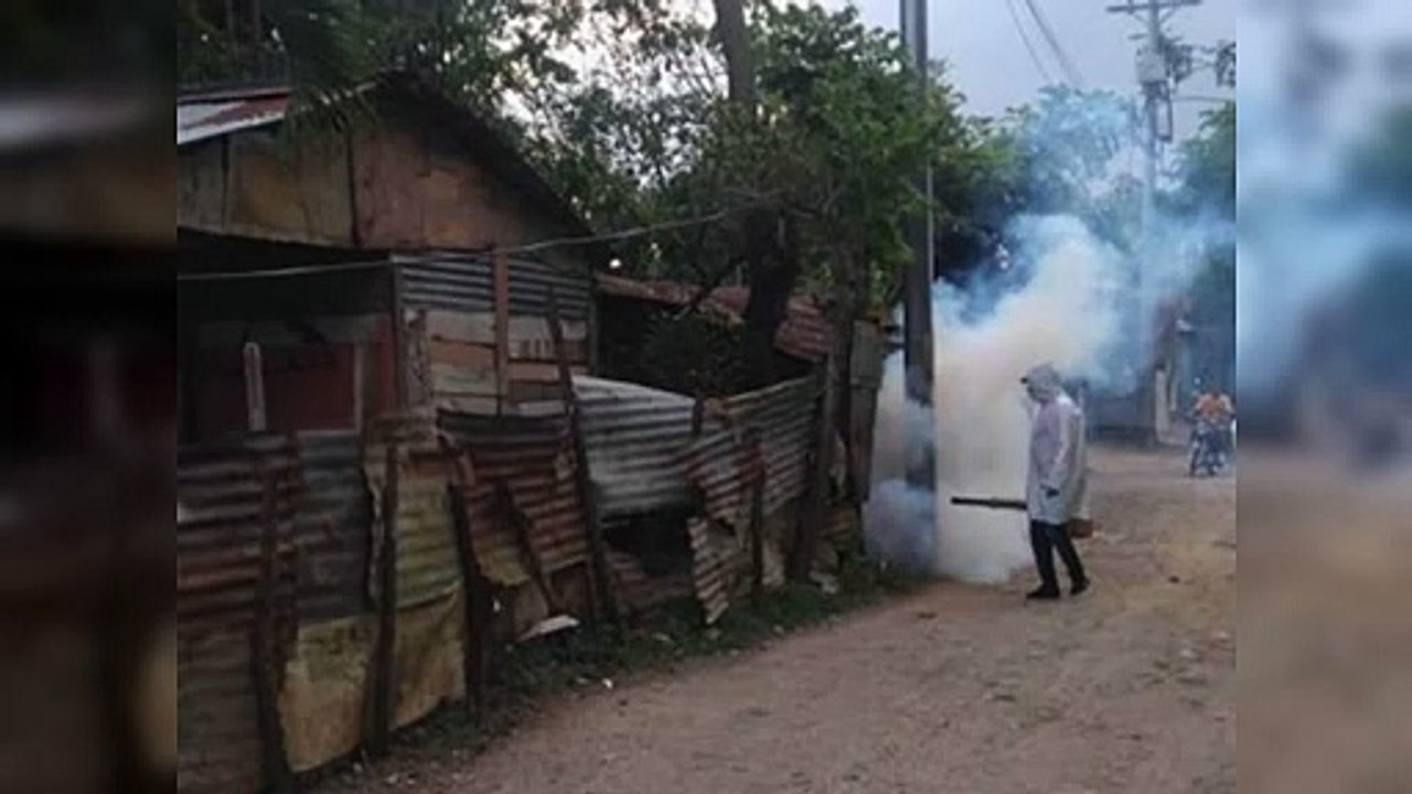 Casos confirmados de dengue ascienden a 1,070
