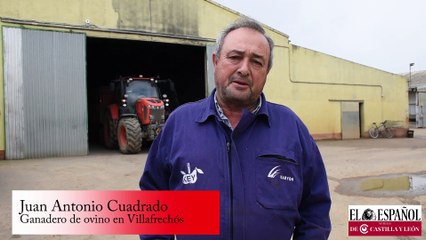 Visita a una ganadería de ovino en Villafrechós.