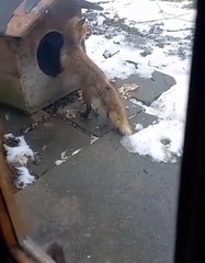 Passenger plain after crash