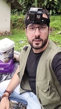 Cobra mais venenosa do Brasil acaba “presa” em pote ao sair para “dar rolê” em casa de Jaraguá do Sul