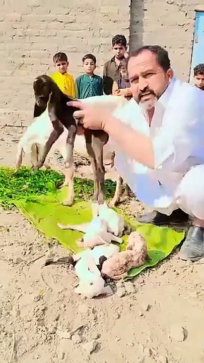 Can you Believe @karmawala #shorts #videos
