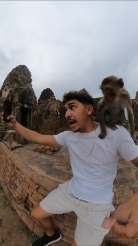 Monkey Attacks Man