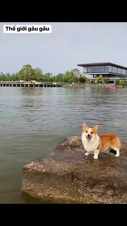 Cool off the table 😂😂