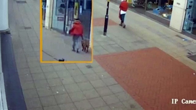 Murderer casually walks dog moments after stabbing 19-year-old mother to death