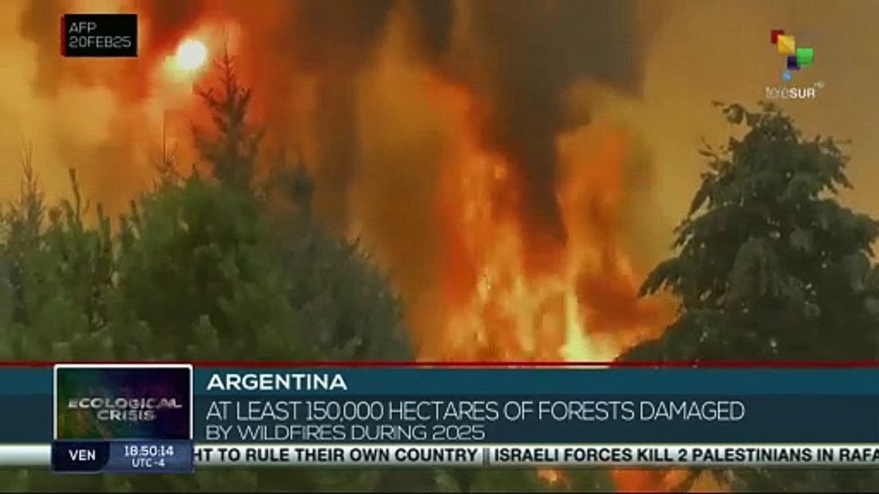 Argentina: Nearly 37,000 acres of forest damaged by forest fires during 2025