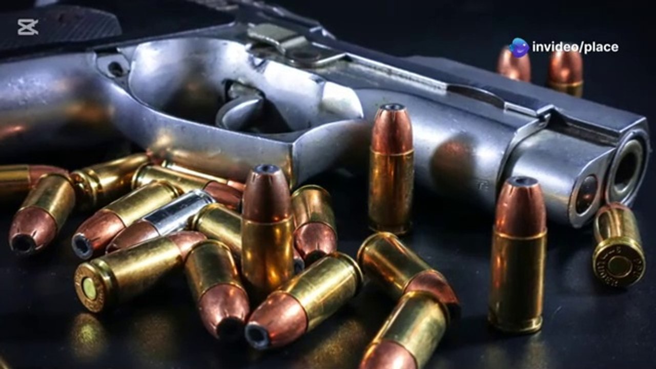 Le contrôle des armes à feu est-il vraiment la clé d’une société plus sûre ?