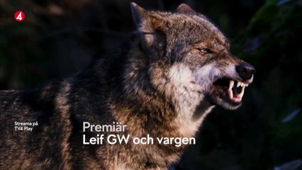 Leif GW och vargen | movie | 2023 | Official Trailer