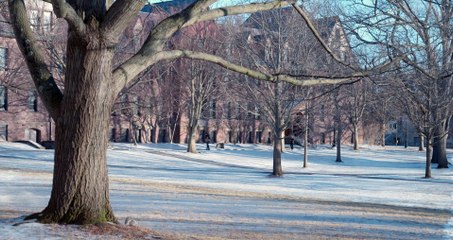 FINGER GUNS | movie | 2025 | Official Featurette