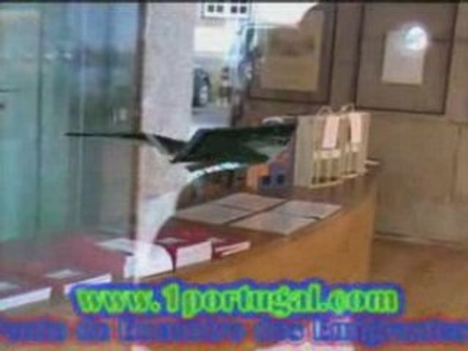 Solar dos Mateus - Vila Real - Traz os Montes - Portugal  -