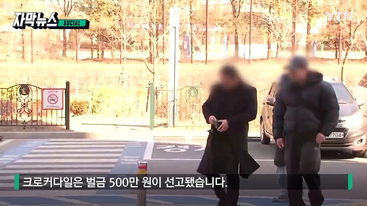 [자막뉴스] 쯔양 협박한 '사이버 렉카' 무리... 줄줄이 유죄 / YTN