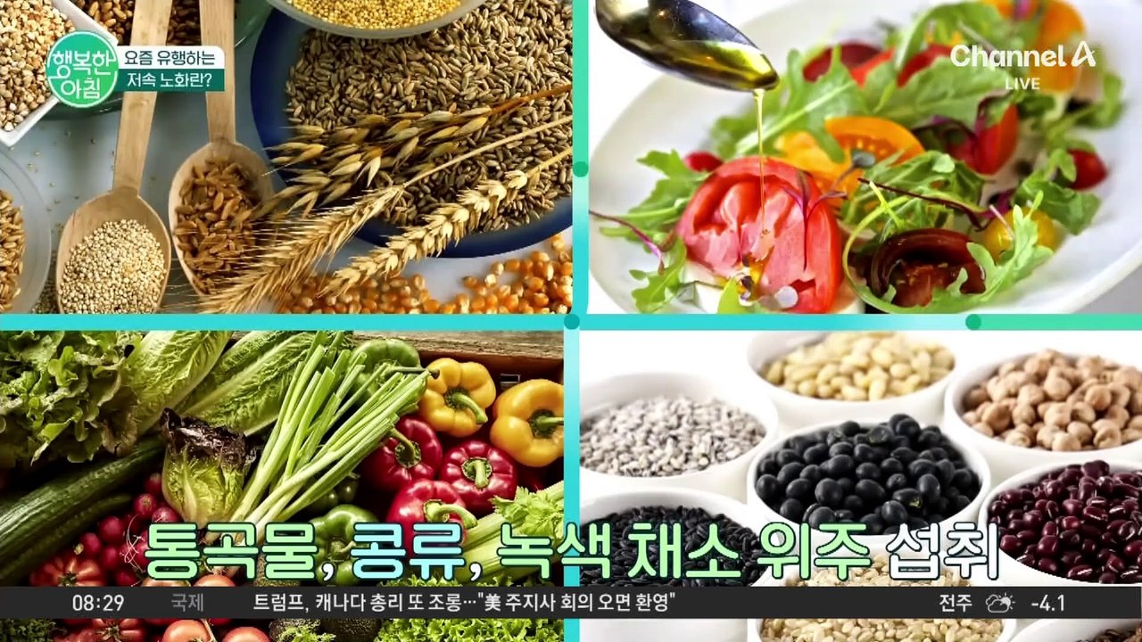 의사가 말하는 가장 이상적인 저속 노화 식단... 치트키는 '호두 버터'? #저속노화